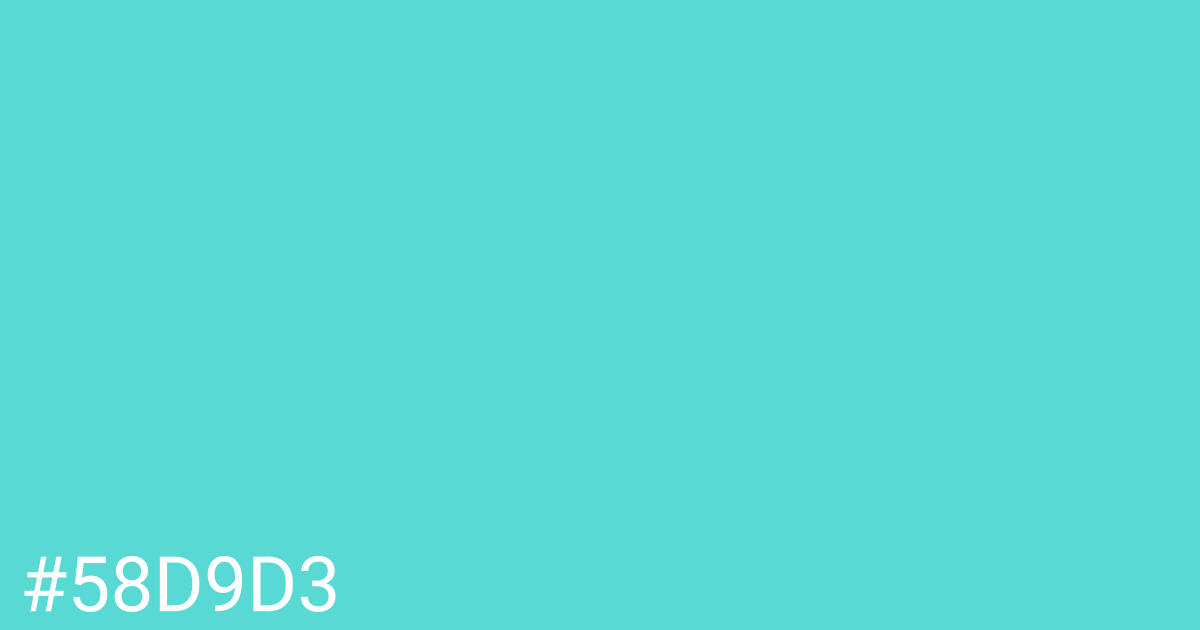 Hex color #58d9d3 graphic