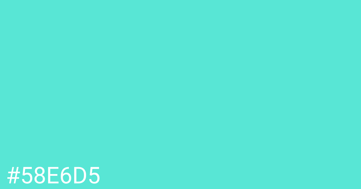 Hex color #58e6d5 graphic