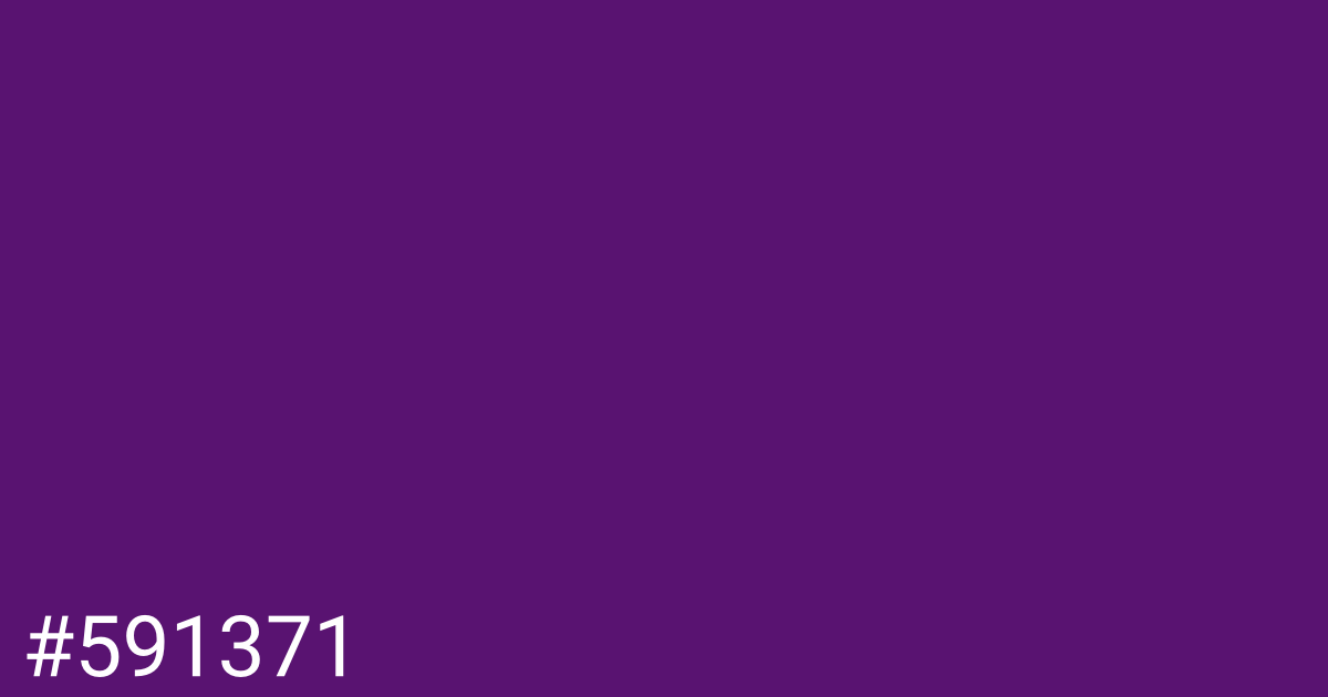 Hex color #591371 graphic