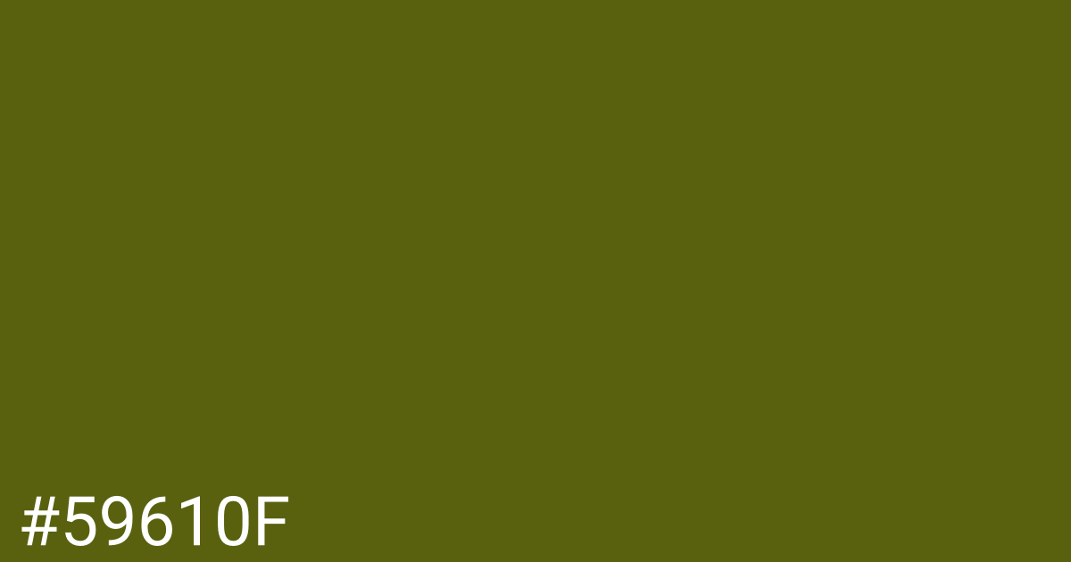 Hex color #59610f graphic