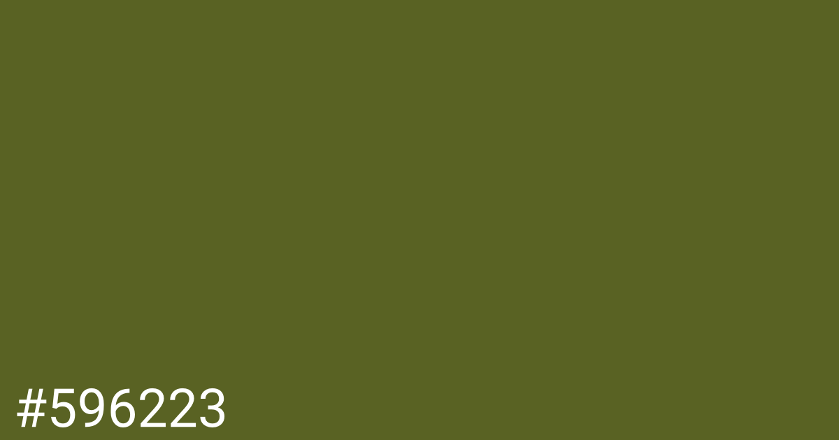 Hex color #596223 graphic