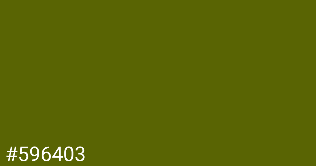 Hex color #596403 graphic