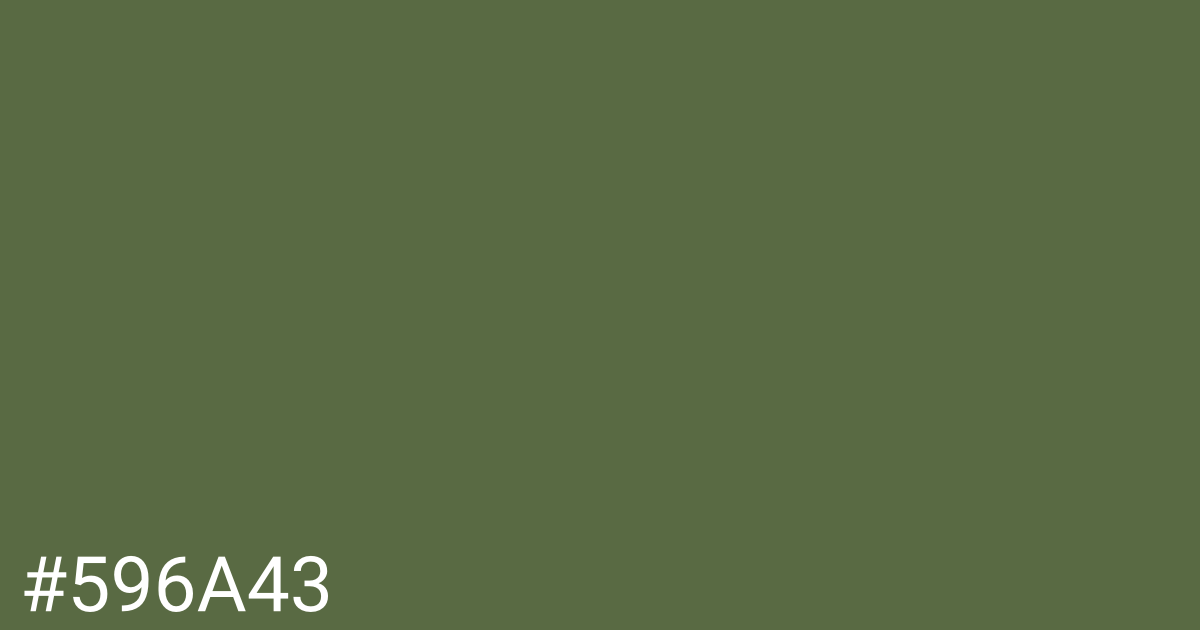 Hex color #596a43 graphic