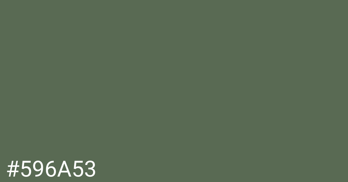 Hex color #596a53 graphic