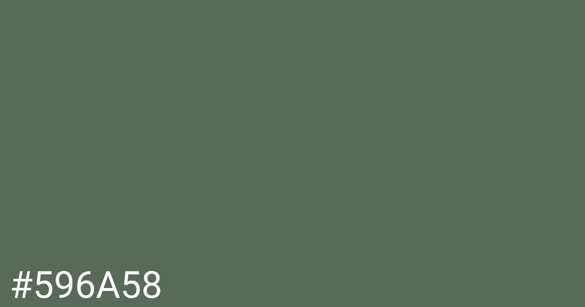 Hex color #596a58 graphic