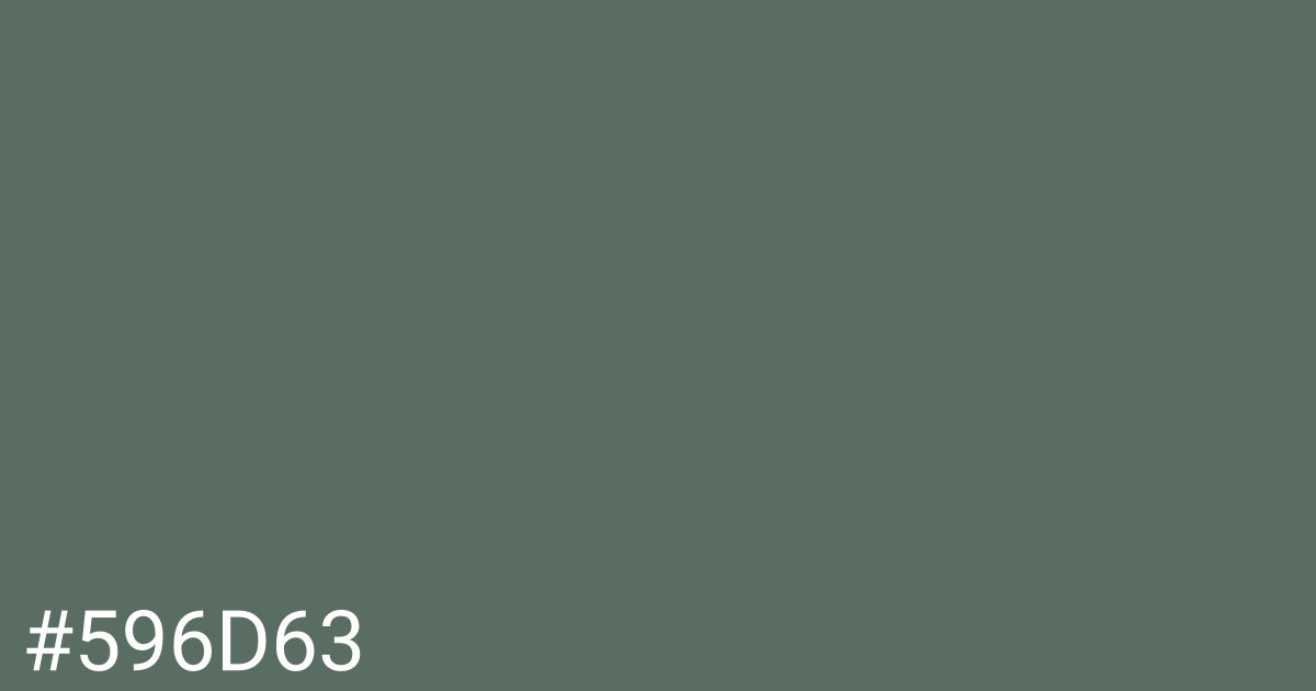 Hex color #596d63 graphic