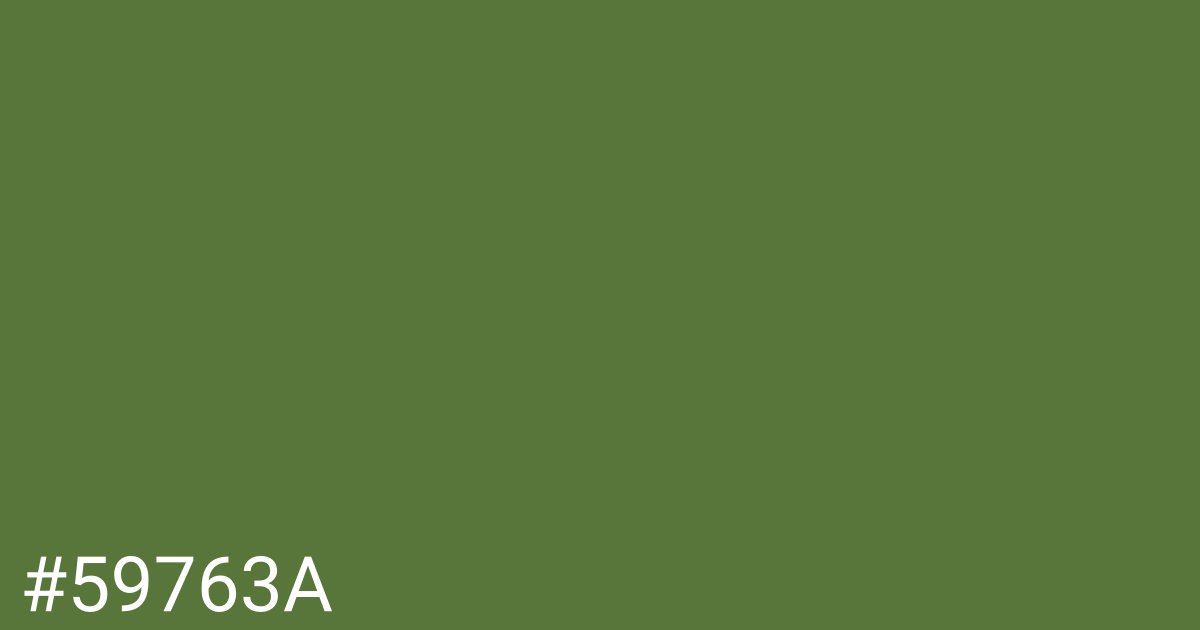 Hex color #59763a graphic