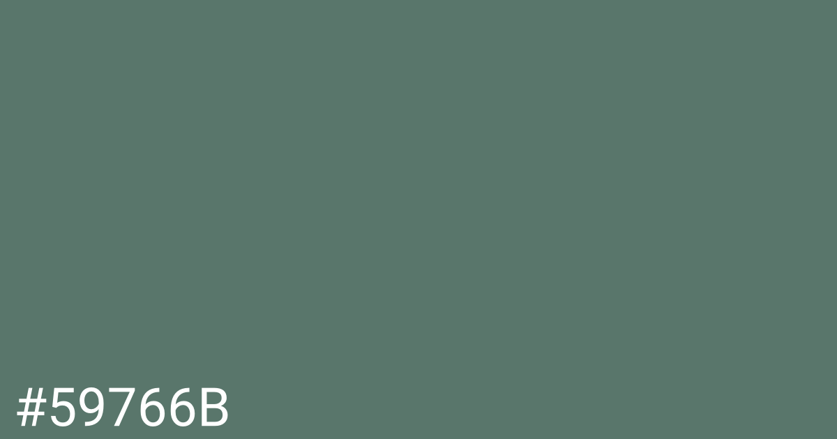 Hex color #59766b graphic