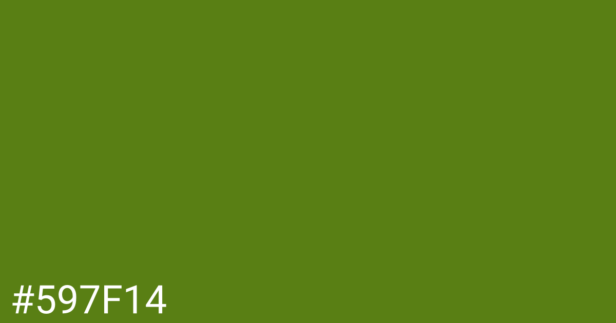 Hex color #597f14 graphic