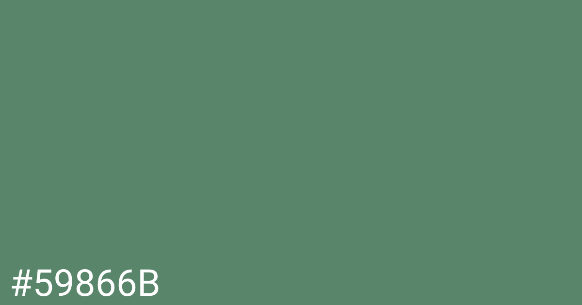 Hex color #59866b graphic