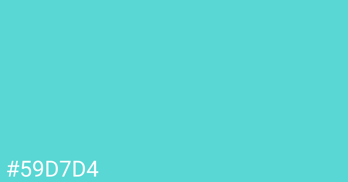 Hex color #59d7d4 graphic