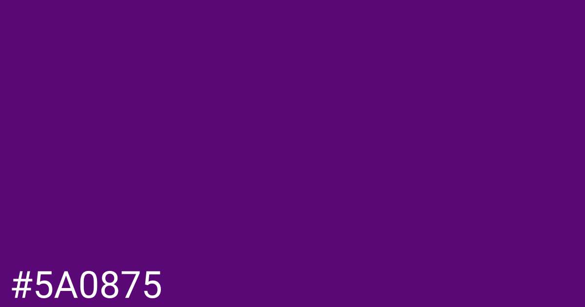 Hex color #5a0875 graphic