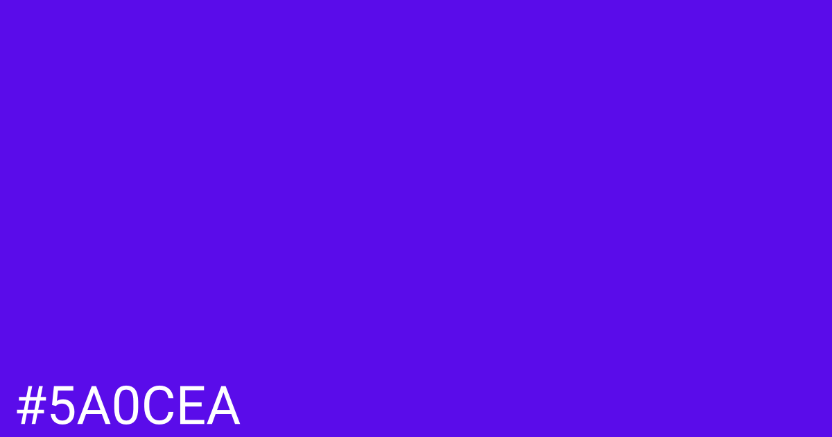 Hex color #5a0cea graphic