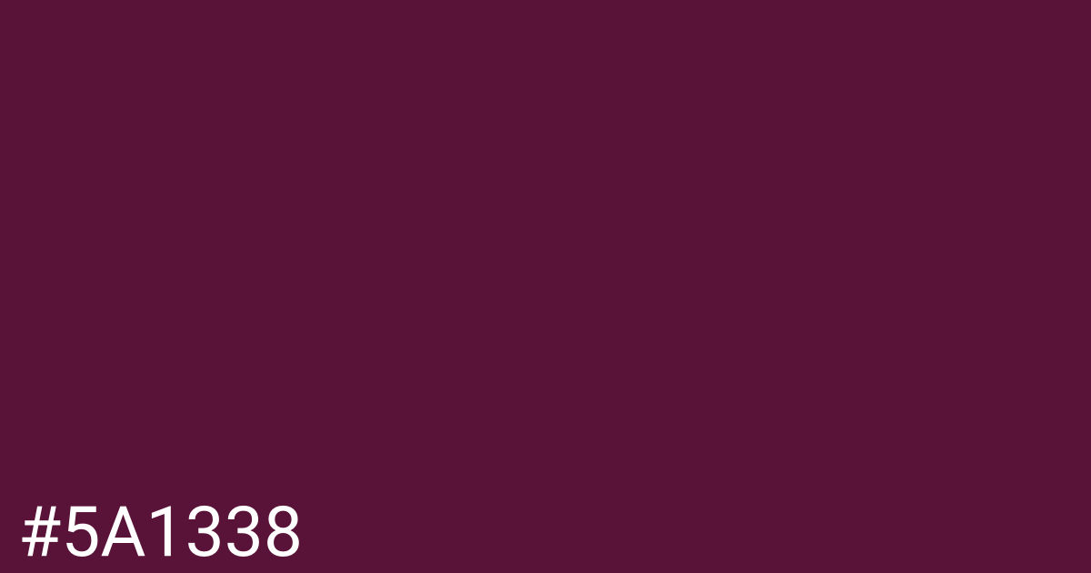 Hex color #5a1338 graphic