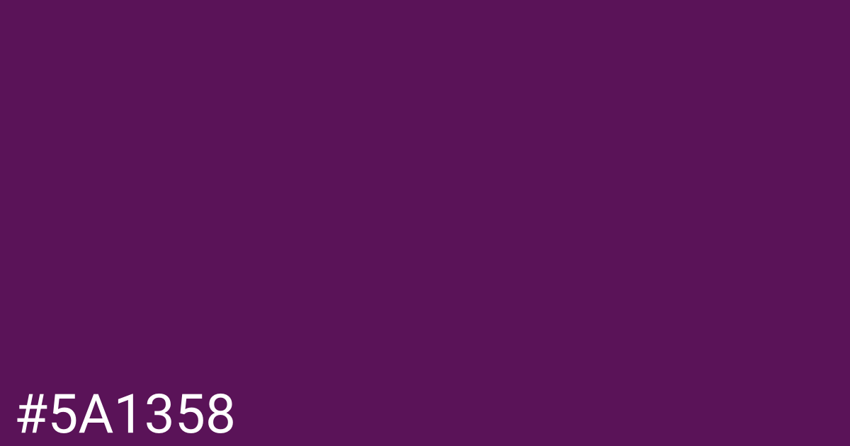 Hex color #5a1358 graphic