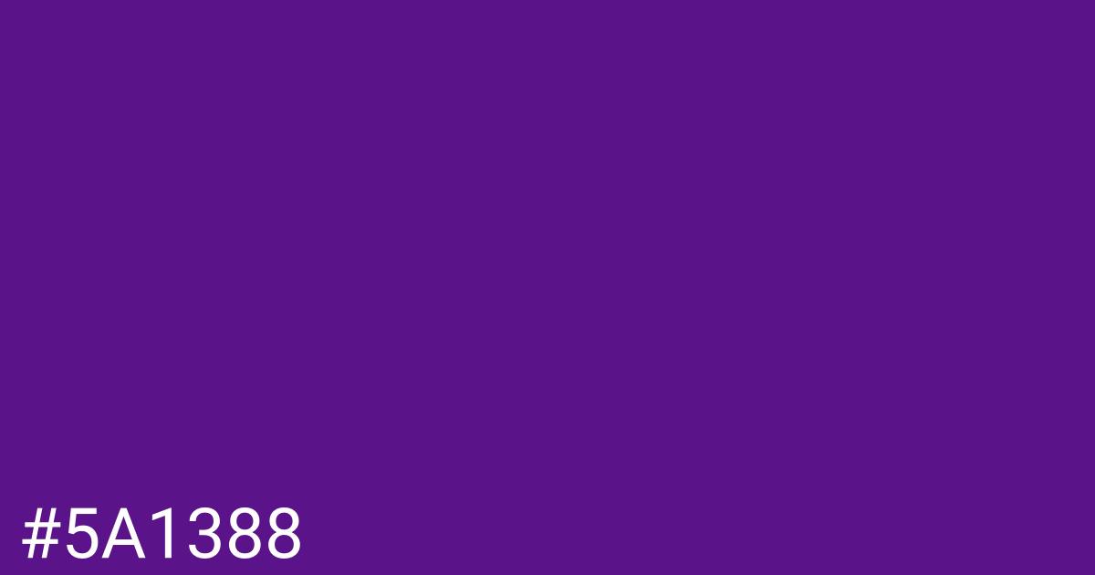 Hex color #5a1388 graphic