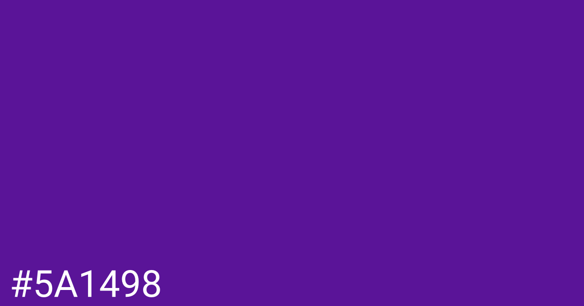 Hex color #5a1498 graphic