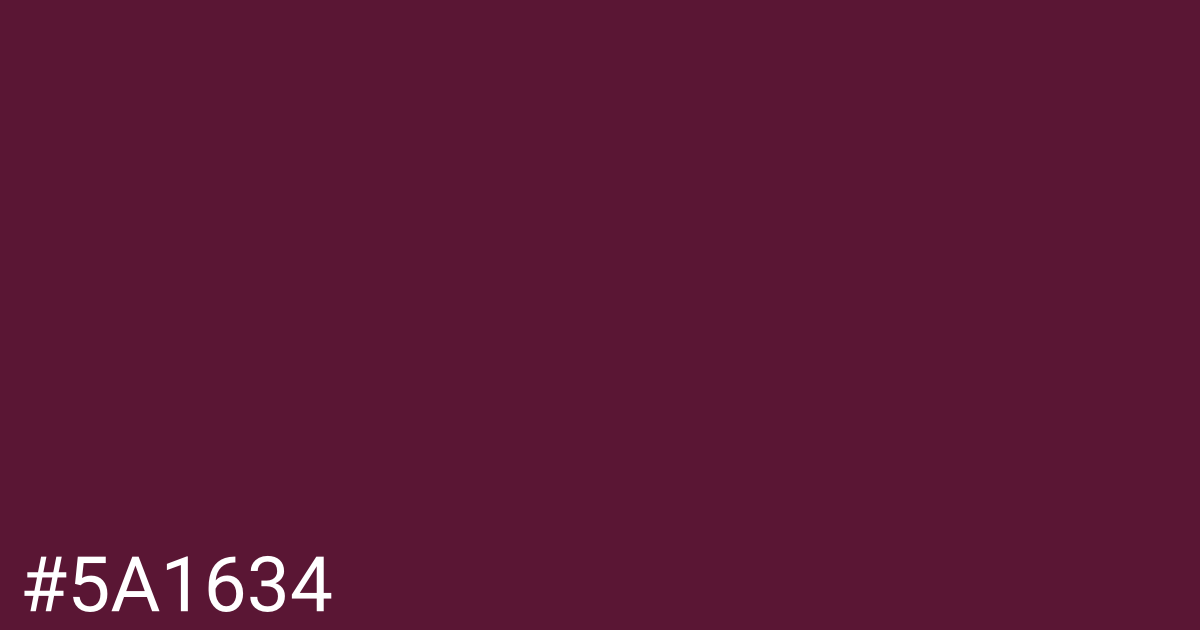 Hex color #5a1634 graphic