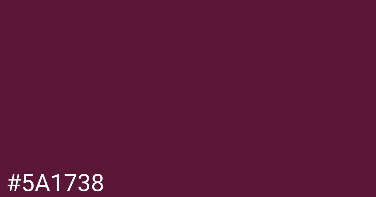 Hex color #5a1738 graphic