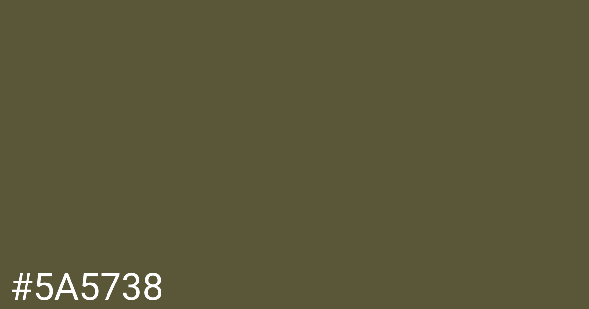 Hex color #5a5738 graphic