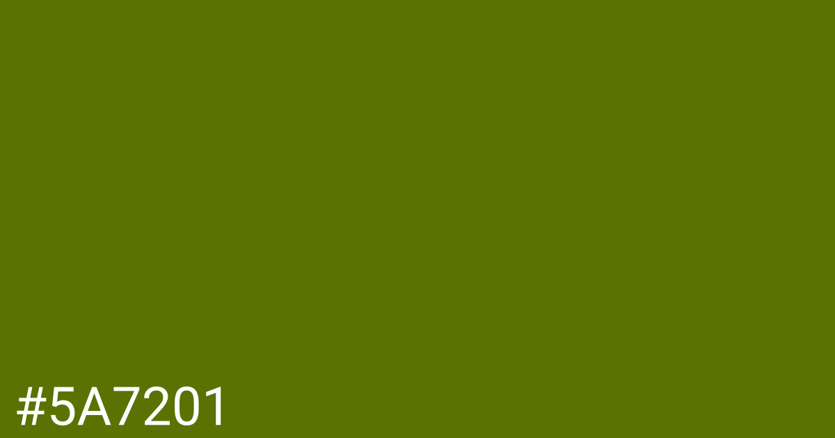 Hex color #5a7201 graphic