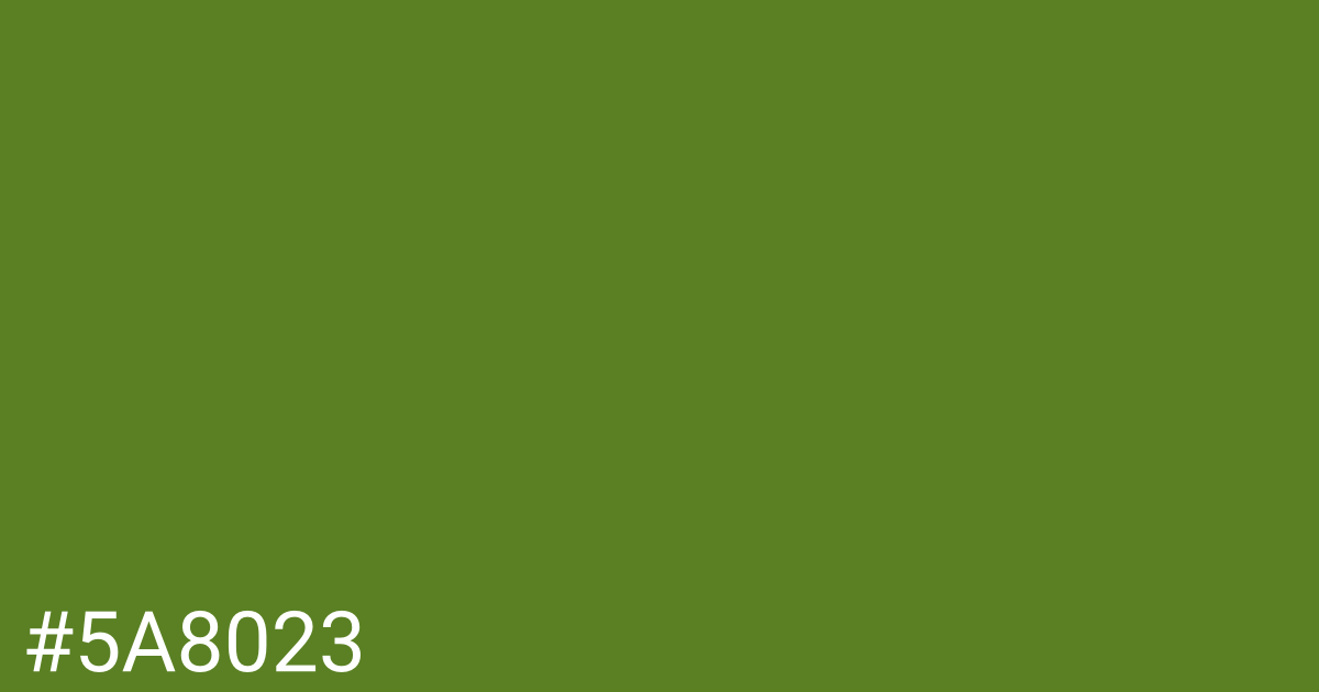 Hex color #5a8023 graphic