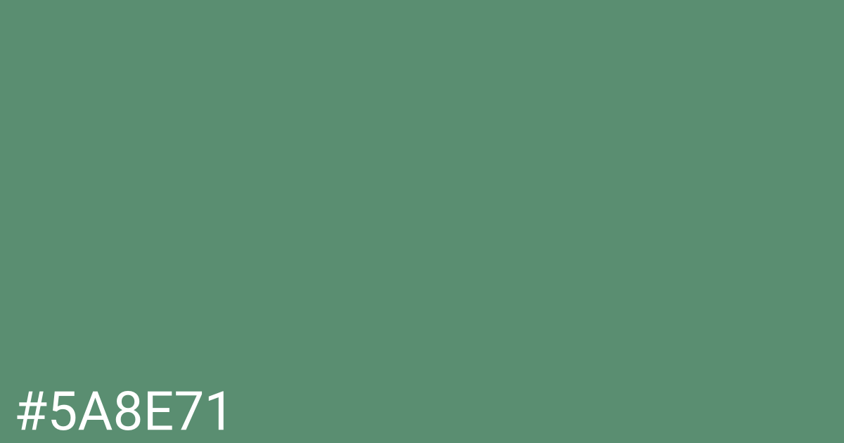 Hex color #5a8e71 graphic