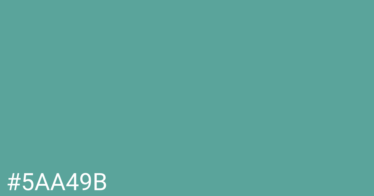 Hex color #5aa49b graphic