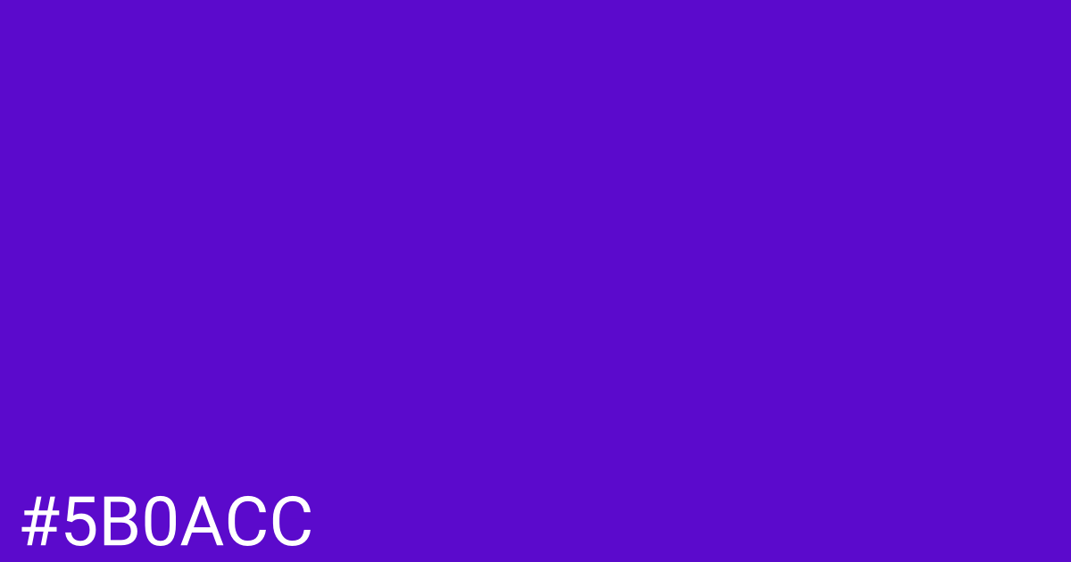 Hex color #5b0acc graphic