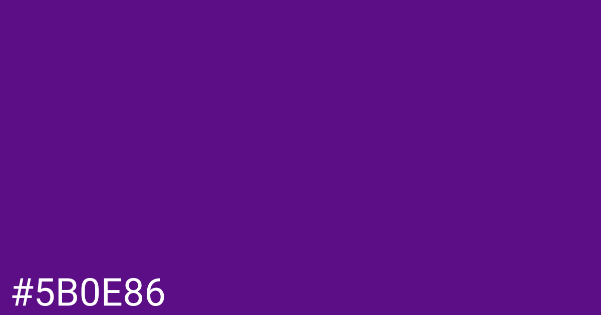 Hex color #5b0e86 graphic