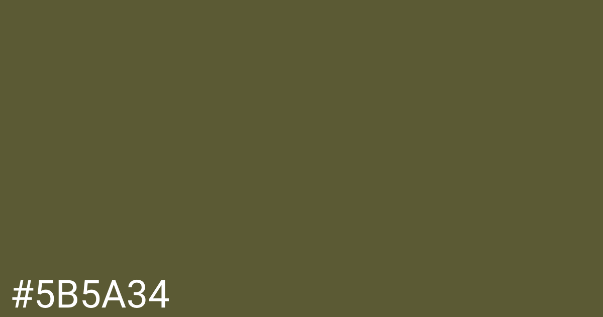 Hex color #5b5a34 graphic