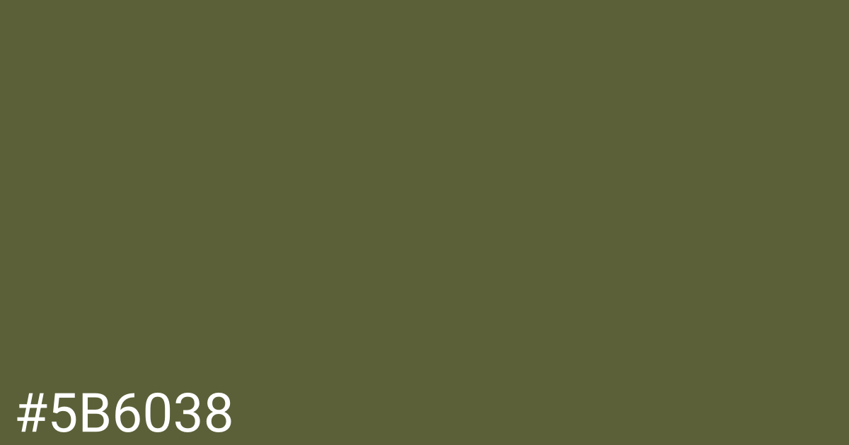 Hex color #5b6038 graphic