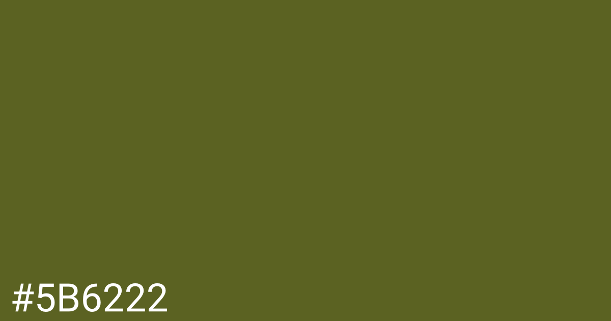 Hex color #5b6222 graphic