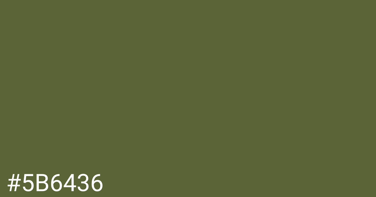 Hex color #5b6436 graphic