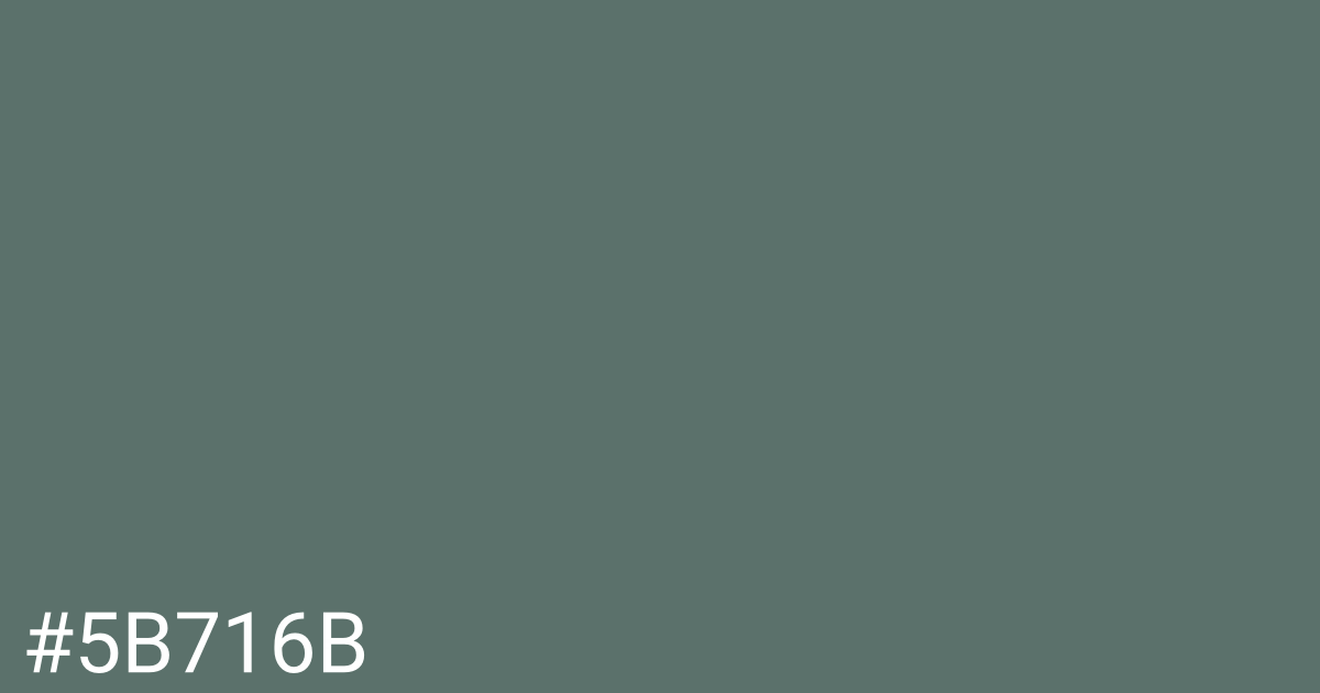 Hex color #5b716b graphic