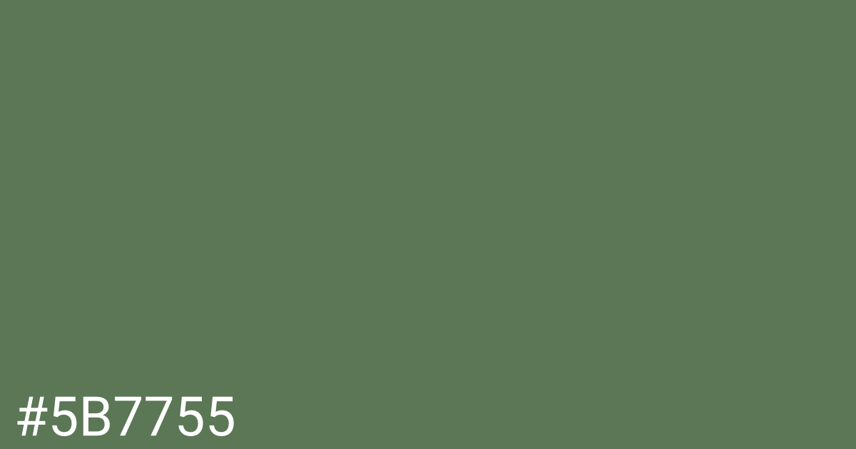 Hex color #5b7755 graphic