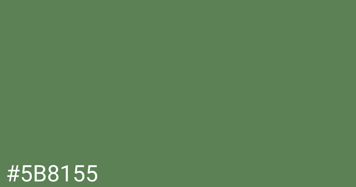 Hex color #5b8155 graphic