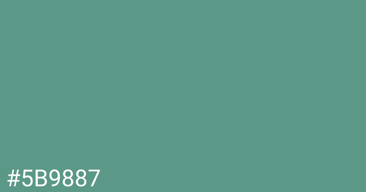 Hex color #5b9887 graphic