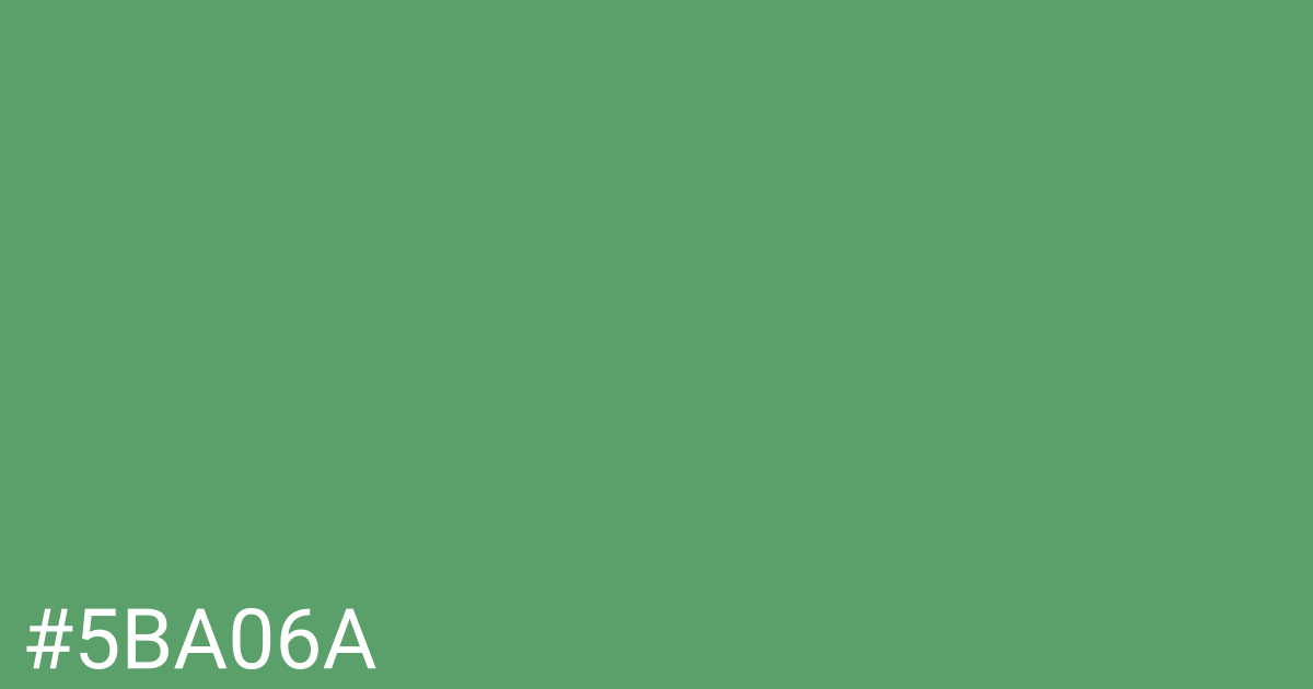 Hex color #5ba06a graphic