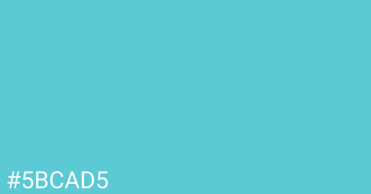 Hex color #5bcad5 graphic