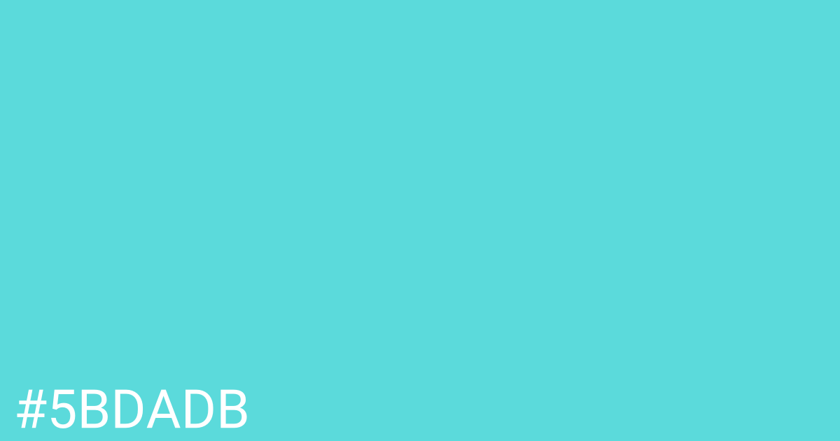 Hex color #5bdadb graphic