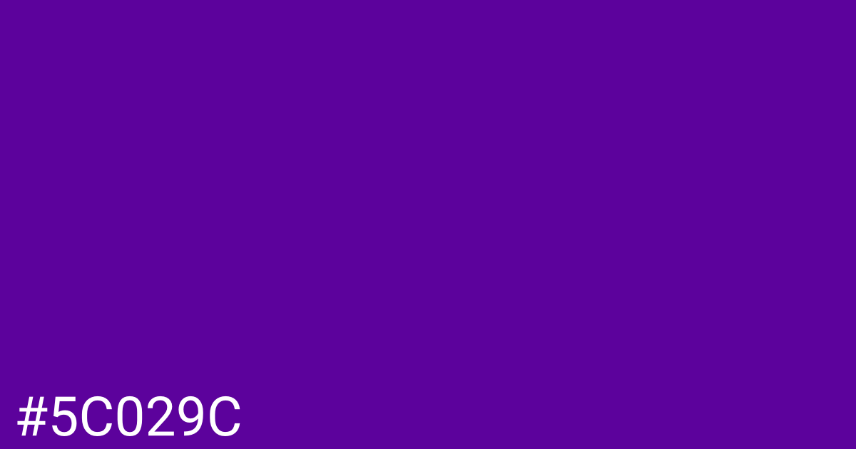 Hex color #5c029c graphic