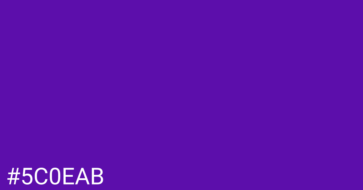Hex color #5c0eab graphic