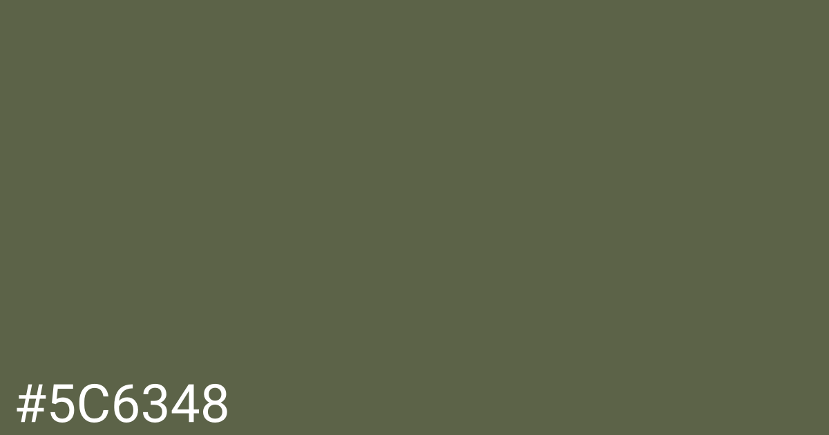 Hex color #5c6348 graphic