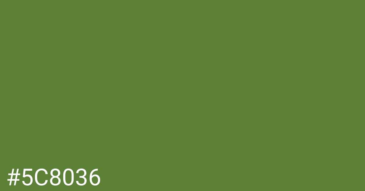 Hex color #5c8036 graphic