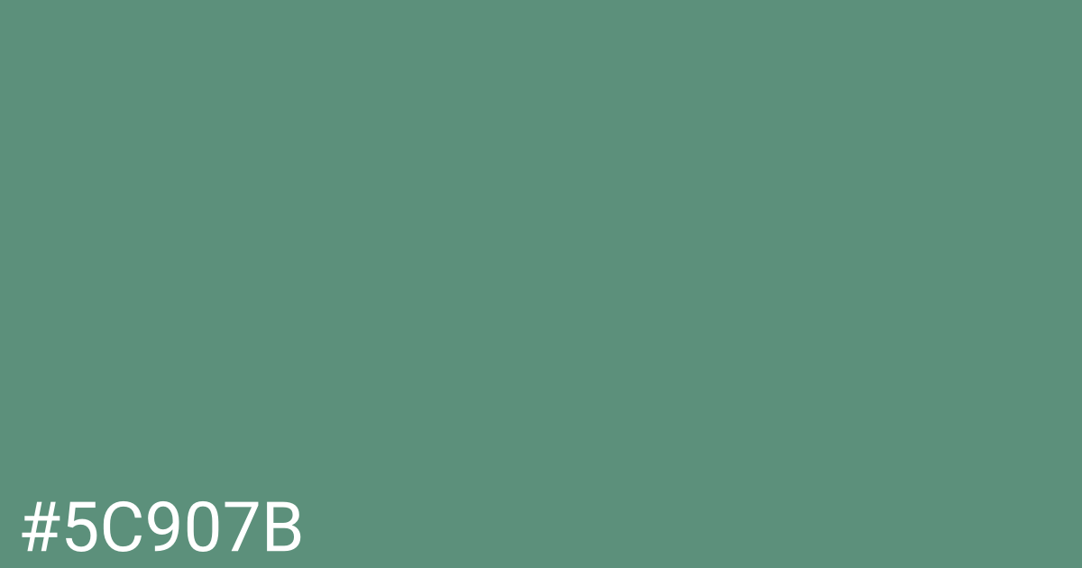 Hex color #5c907b graphic