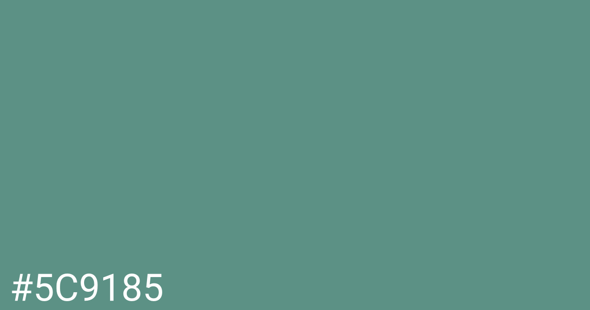 Hex color #5c9185 graphic