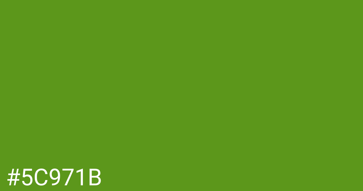 Hex color #5c971b graphic