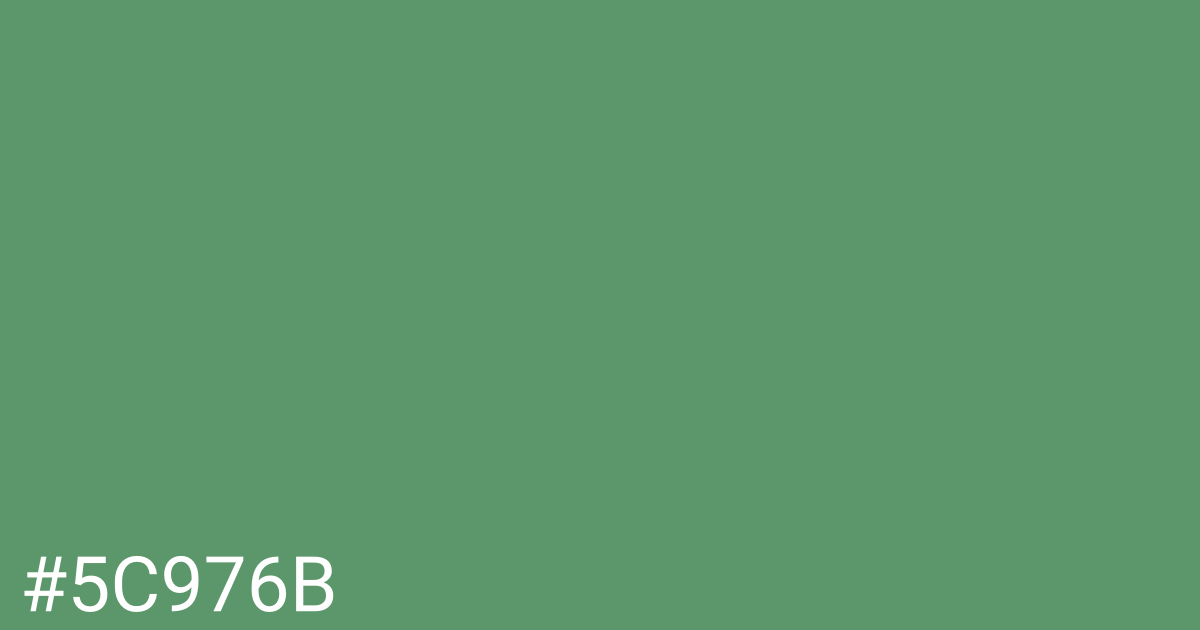 Hex color #5c976b graphic