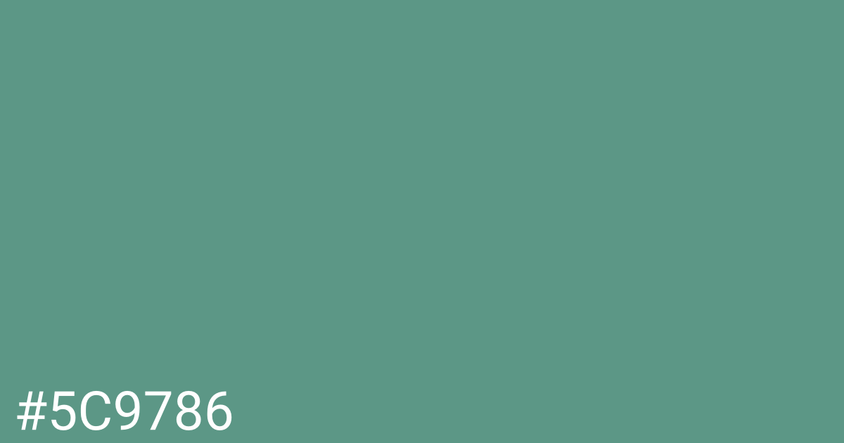 Hex color #5c9786 graphic